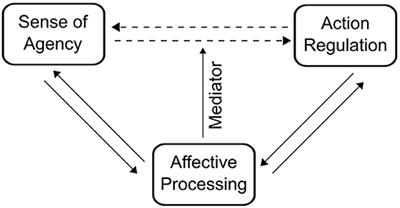 The Interplay Between Affective Processing and Sense of Agency During Action Regulation: A Review